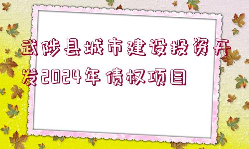 武陟縣城市建設(shè)投資開(kāi)發(fā)2024年債權(quán)項(xiàng)目