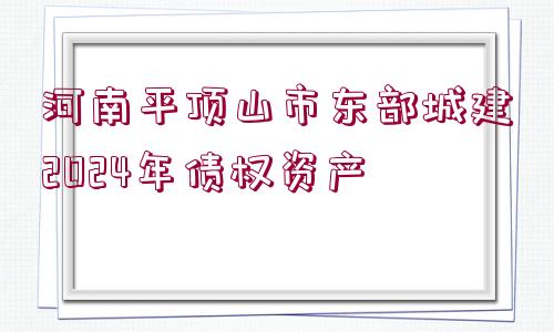 河南平頂山市東部城建2024年債權(quán)資產(chǎn)