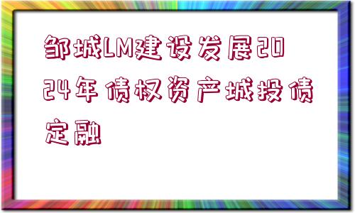 鄒城LM建設(shè)發(fā)展2024年債權(quán)資產(chǎn)城投債定融