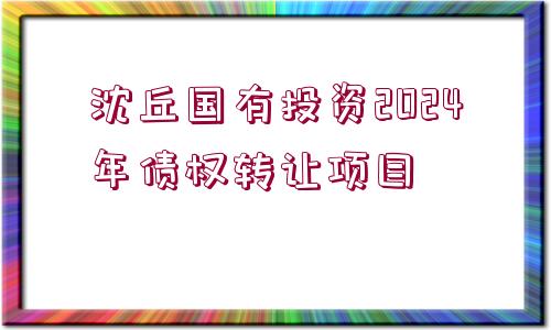 沈丘國有投資2024年債權(quán)轉(zhuǎn)讓項目