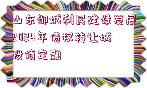 山東鄒城利民建設(shè)發(fā)展2024年債權(quán)轉(zhuǎn)讓城投債定融