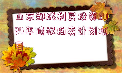 山東鄒城利民投資2024年債權(quán)拍賣(mài)計(jì)劃項(xiàng)目