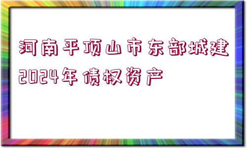 河南平頂山市東部城建2024年債權資產(chǎn)