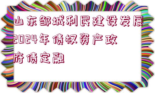 山東鄒城利民建設(shè)發(fā)展2024年債權(quán)資產(chǎn)政府債定融