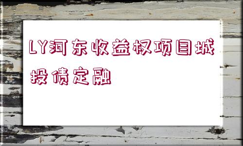 LY河?xùn)|收益權(quán)項(xiàng)目城投債定融