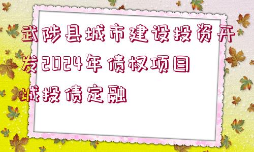 武陟縣城市建設(shè)投資開發(fā)2024年債權(quán)項(xiàng)目城投債定融