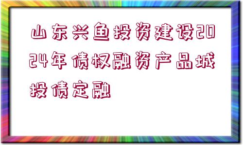 山東興魚(yú)投資建設(shè)2024年債權(quán)融資產(chǎn)品城投債定融