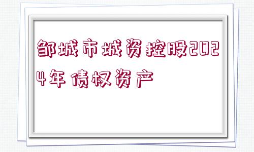 鄒城市城資控股2024年債權資產(chǎn)