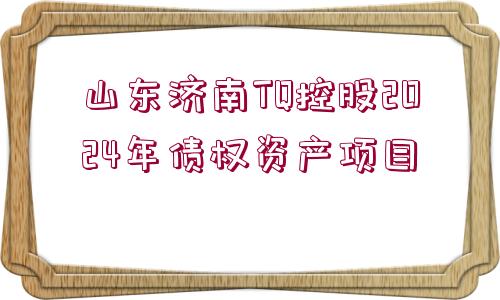 山東濟(jì)南TQ控股2024年債權(quán)資產(chǎn)項(xiàng)目