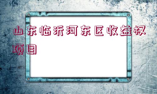 山東臨沂河東區(qū)收益權項目