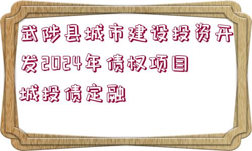 武陟縣城市建設投資開發(fā)2024年債權(quán)項目城投債定融