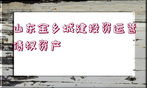 山東金鄉(xiāng)城建投資運營債權(quán)資產(chǎn)