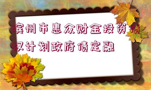 濱州市惠眾財金投資債權(quán)計劃政府債定融