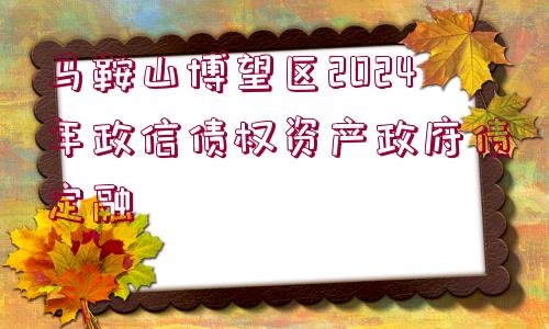 馬鞍山博望區(qū)2024年政信債權(quán)資產(chǎn)政府債定融